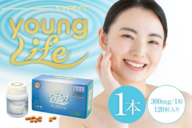 y򕌌szOCtiTvgj120@y0106-015z