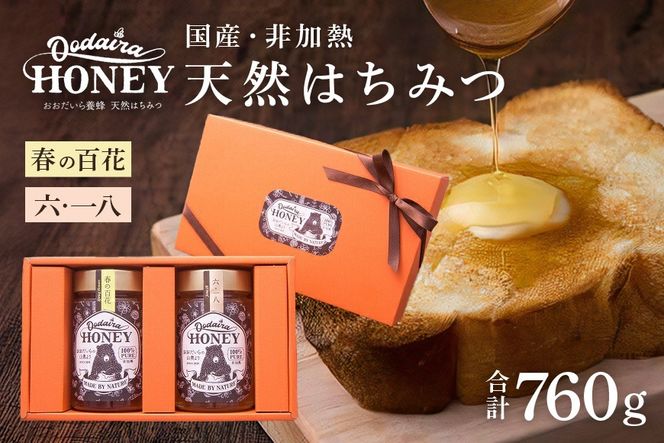 y򕌌SÒz193.YVR M݂͂ 380g 2{Zbgut̕Sԁvu6.18v