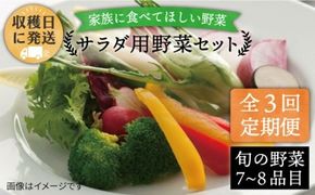 【 全3回 定期便 】【 福岡県 糸島産 】 朝採れ サラダ用 野菜 セット 《糸島》【オーガニックナガミツファーム】         [AGE005]