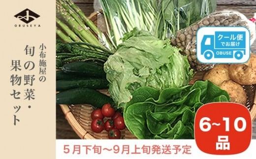 直売所から直送 旬の野菜・果物セット 6～10品 ［小布施屋］野菜 やさい 果物 フルーツ 詰め合わせ 詰合せ 令和7年産【2025年5月下旬～9月上旬発送】 ［H-79］
