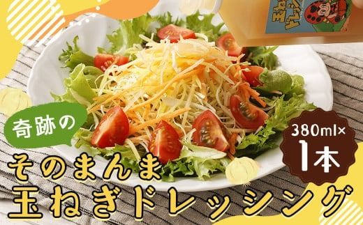 yÖszՂ̂̂܂ ʂ˂hbVO 380ml hbVO  Y mIC