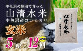 【定期便／全12回】玄米5kg　新潟県魚沼産コシヒカリ「山清水米」十日町市 米