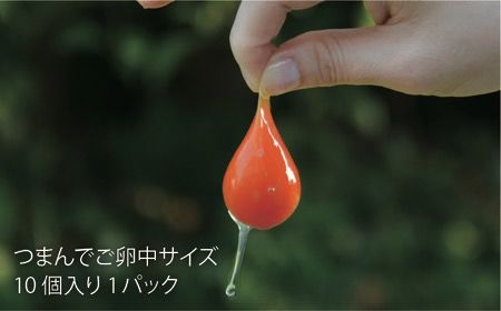 【全12回定期便】《 鶏 の 炭火焼 と ブランド 卵 のセット》緑の農園 満喫セット糸島市 / 緑の農園 [AGA035] 炭火焼き 肉 鶏肉 親鶏 おつまみ つまんでご卵 平飼い