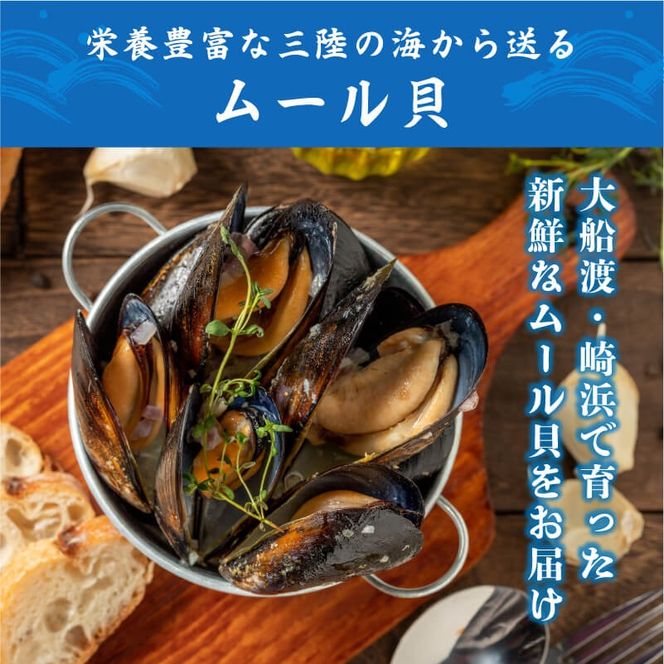 【8月～12月発送】 国産 活ムール貝 1kg ムール貝 ムラサキ貝 殻付き 新鮮 産地直送 旬 三陸 岩手県 大船渡市 [nakano008]