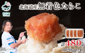 【丸鮮道場水産】 北海道産 無着色たらこ 480g (120g×4)