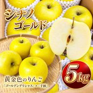 りんご シナノゴールド 令和8年11月上旬発送 信州のシナノゴールド 約5キロ 信濃三兄弟の一つ（りんご・リンゴ・林檎） 伊那市 長野県 信州【018-37】