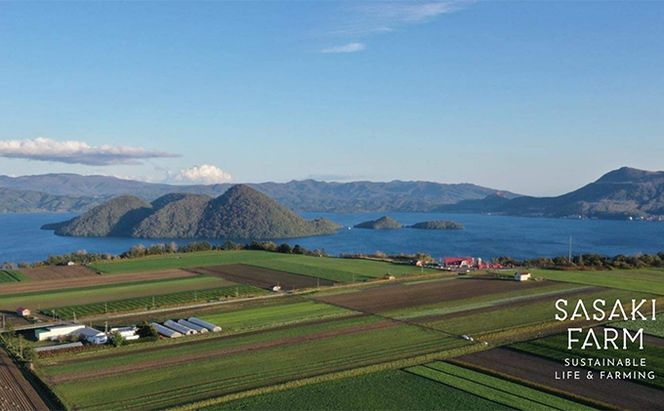 旬の野菜詰め合わせ ～ありがとうBOX2026・中～ 12月1日～1月31日頃お届け 先行予約 北海道 野菜 やさい 詰め合わせ セット 北海道産 常備菜 加工品 自然栽培 佐々木ファーム 産地直送 洞爺湖町