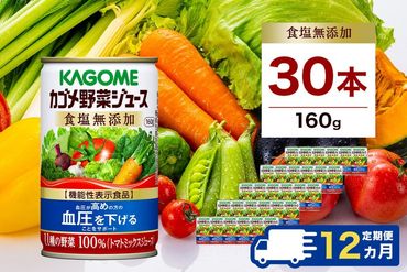 ns001-022　【定期便12ヵ月】カゴメ　野菜ジュース　食塩無添加　160g缶×30本 1ケース 毎月届く 12ヵ月 12回コース【 栃木県 那須塩原市 】