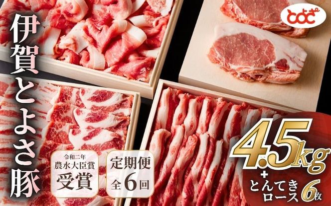 【定期便】農水大臣賞受賞　伊賀とよさ豚　年6回お届け【tysk-tkb0001】