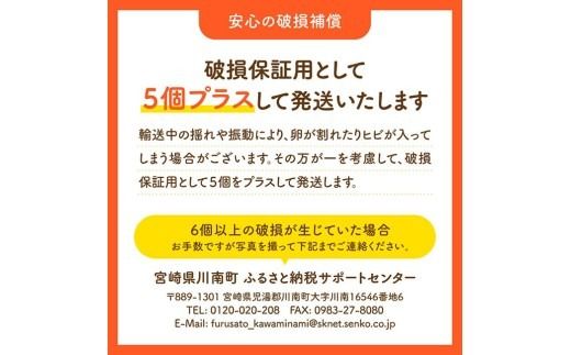 ※回数が選べる※宮崎県産鶏卵　「南国からの贈り物」大きな卵40個入り（35個+破損補償5個） 【たまご 卵 玉子 タマゴ】 [C01401]