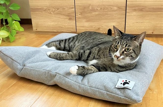 【たっぷり!!リアルダウン使用】大きめ! ペット用 羽毛クッションセット ペットベッド 犬や猫が大好き!! H162-049