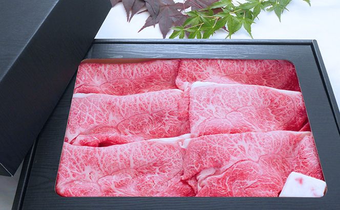 【飛騨牛】海津市産ウデしゃぶしゃぶすき焼き用スライス 【配達不可：離島】 お肉 牛肉 国産 岐阜県産 ブランド牛 鍋 牛鍋 肩 赤身 サシ 霜降り 濃厚 旨味 脂身が少ない ダイエット 肉じゃが 炒め物 