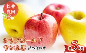 りんご サンふじ シナノゴールド 詰め合わせ 約5kg フルーツ 果物 甘い 林檎 セット