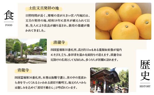 TheRoam 1泊2日 宿泊招待券 一棟貸し素泊まり 1名様 / 宿泊 ホテル 旅行 旅 観光 自然 旅行 貸切 高知県 土佐市【株式会社　ダイセイ】[BQDG001]