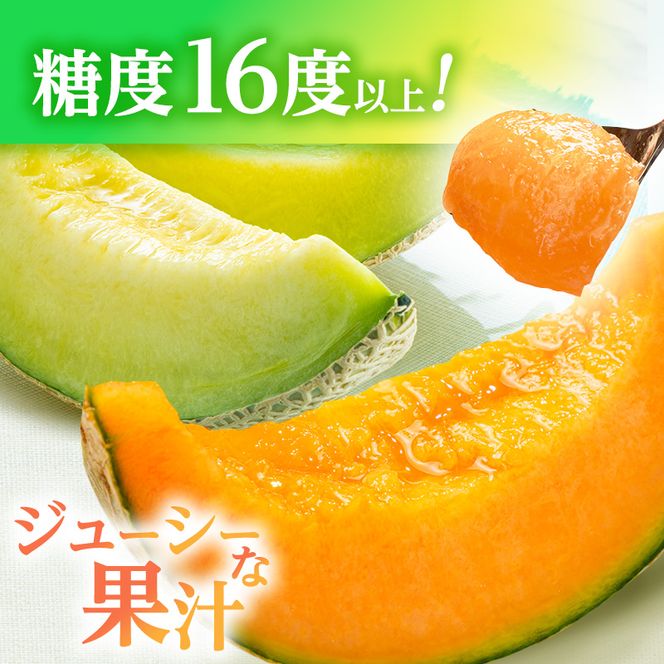 メロン 先行 予約 青森 減農薬栽培メロン 2玉 糖度16度以上保証 減農薬 青肉 赤肉 青肉メロン 赤肉メロン フルーツ 果物 旬のフルーツ 旬の果物 旬 夏 レビュー 高評価 先行予約 2026 2026年 青森県