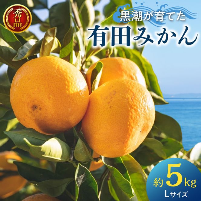 黒潮が育てた 有田みかん 約5kg (Lサイズ) 秀品_AE6103n