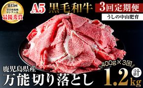 【定期便全3回】＜A4・A5等級＞黒毛和牛堪万能切り落とし肉 計1.2kg（400g×1P・全3回） t0039-005