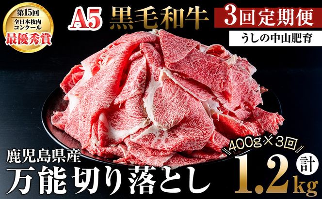 yuzuszy֑S3zA4EA5јa\؂藎Ƃ v1.2kgi400g×1PES3j t0039-005