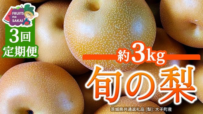 【定期便】3か月連続でお届け！ 旬の梨 おまかせ 約3kg（茨城県共通返礼品 [梨]：大子町産） 高糖度 ギフト 贈り物 プレゼント フルーツ なし ナシ 和梨 梨 果実 旬のフルーツ お取り寄せ くだもの 果物 みずみずしい