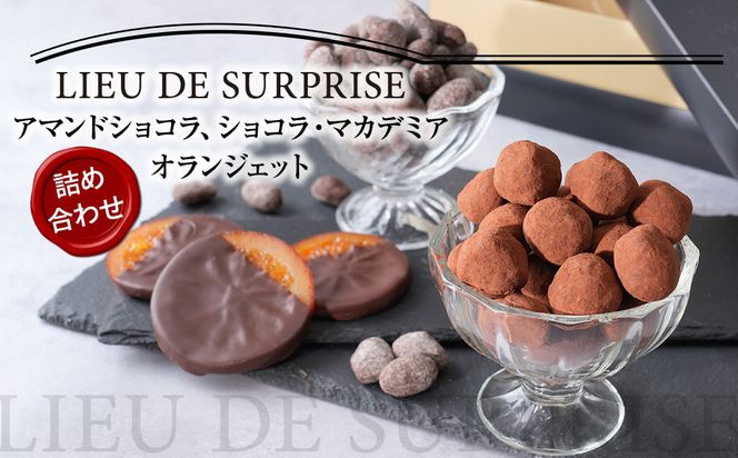 ［Pâtisserie LIEU DE SURPRISE］アマンドショコラ、ショコラ・マカデミア、オランジェット詰め合わせ 372013_HE001