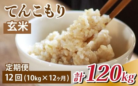 【12ヶ月定期便】富山県滑川産「てんこもり」与文のお米 （玄米10kg）×12回 計120kg [O-050001] / 産地直送 袋 てんこもり おにぎり お米 白米 国産 ご飯 ごはん 富山県 滑川市 アグリめぐみ 頒布会 [O-050001]富山県滑川産「てんこもり」与文のお米 玄米 米 定期便/精米･10kg 3ヶ月 30kg 6ヶ月 60kg 12ヶ月 120kg  コンシェルジュ