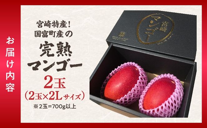 宮崎特産！国富町産の完熟マンゴー 2玉（2L×2玉）
