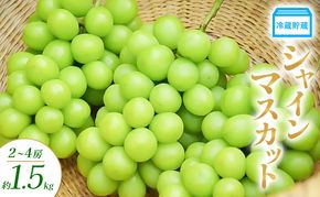 冷蔵貯蔵 シャインマスカット 2～4房 約1.5kg ぶどう ブドウ 葡萄 マスカット 果物 フルーツ 長野県 長野 山ノ内町