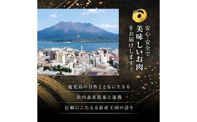 鹿児島黒牛赤身すきやき用 計900g b5-142