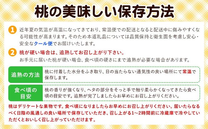 【2026年先行予約】桃 岡山県産 黄金桃 6玉 1.6kg以上 株式会社山博《2026年8月下旬-9月中旬頃出荷》もも フルーツ 化粧箱入り 岡山県 笠岡市 送料無料---Y-39---