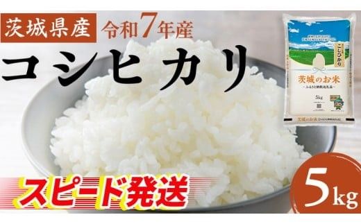 スピード発送!! 【 令和7年産 】 茨城県産 コシヒカリ 5kg 米 お米 コメ 白米 こしひかり 茨城県 精米 新生活 応援 新米 スピード配送 [DK001ci]