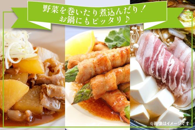 豚肉 小分け 豚バラ しゃぶしゃぶ 300g 6袋 計1.8kg [甲斐精肉店 宮崎県 美郷町 31as0093] 肉 スライス 冷凍 宮崎県産 豚しゃぶ 真空包装 薄切り うす切り