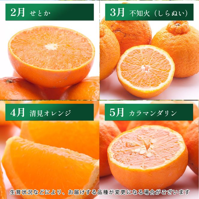 厳選 柑橘定期便M（毎月）全12回 ［IKE292］ 303446_BB90201