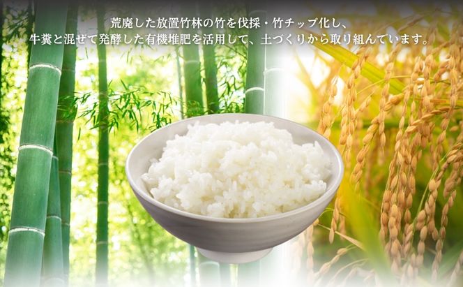 【定期便6回】令和8年産新米 有機堆肥栽培米 こしひかり 摩氣米 10kg コシヒカリ 精米 白米 米 コメ お米 おこめ ご飯 ごはん 京都