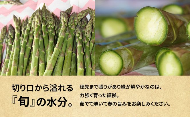 十勝幕別町産 グリーンアスパラ2kg 極太L～3L混合［山田敏明牧場］【2026年5月出荷開始】  北海道 野菜 アスパラガス