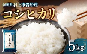 【令和7年産米】新潟県村上市岩船産 コシヒカリ5kg 1029009