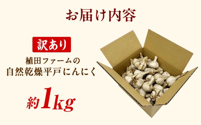 訳あり 平戸にんにく 約1kg 〈2026年6月10日～2026年10月31日〉乾燥 ニンニク 平戸にんにく 訳アリ わけアリ 不揃い 型崩れ 自然乾燥 大量 大容量 常温 配送 数量限定 高知県産 高知県 土佐市【株式会社 植田ファーム】[BQAT006]