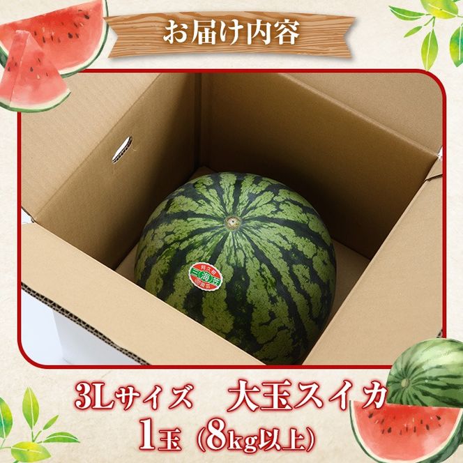 ＜先行予約受付中！2026年6月中旬以降順次発送予定＞鹿児島県産 大玉スイカ(3Lサイズ・1玉) 国産 果物 スイカ すいか 西瓜 フルーツ スイーツ スムージー ジュース【松永青果】akn053-15