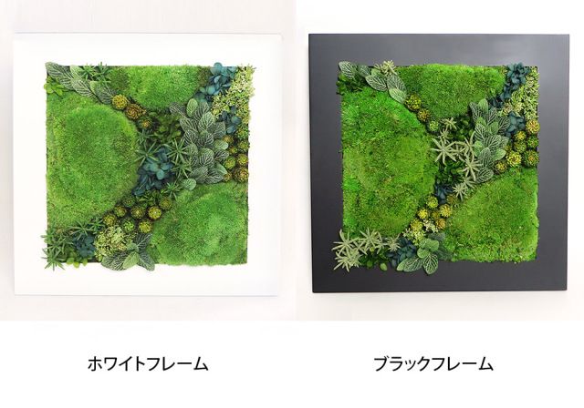 グリーンフレーム２L 花 お花 プリザーブドフラワー ギフト プレゼント お祝い 誕生日 お供え アレンジ インテリア 東京都 墨田区