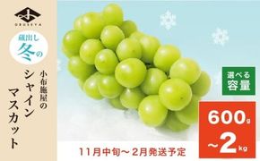 蔵出し冬のシャインマスカット 約600g 約760g 約1kg 約1.3kg 約2kg 選べる内容量 ［小布施屋 ］ 年内配送 長野県 ぶどう フルーツ 果物 冷蔵便 クール便 令和7年産【2025年11月中旬～2026年2月発送】［A-502］