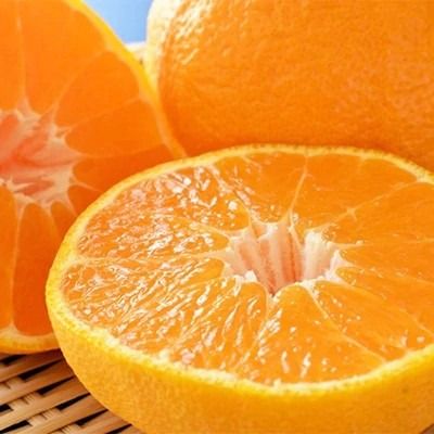 和歌山有田の濃厚大玉デコポン 12～15玉 約5kg［先行予約］［MS79w］ AO046