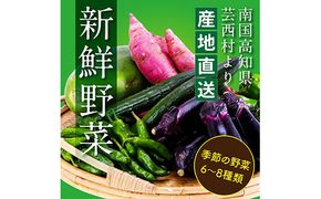 【CF-R7hbk】KPP030　【先行予約】朝どれ！ 野菜詰合せ／芸西村で採れた新鮮な野菜6～8種類をお届けします。特産品 ピーマン ナス こだわりの栽培方法 環境に優しい 安全で安心な野菜づくり  支援品