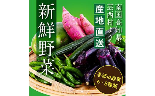 【CF-R7hbk】KPP030　【先行予約】朝どれ！ 野菜詰合せ／芸西村で採れた新鮮な野菜6～8種類をお届けします。特産品 ピーマン ナス こだわりの栽培方法 環境に優しい 安全で安心な野菜づくり  支援品