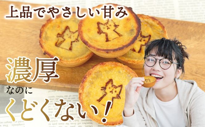 099H4535 国産紅はるか100％使用 干し芋屋のスイートポテトタルト【紅はるか 芋 いも イモ おやつ タルト サツマイモ】