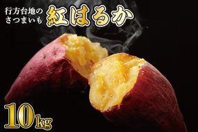 【2026年4月中旬より順次発送】★訳あり★ 無選別 行方台地のさつまいも 紅はるか 約10kg｜さつまいも 芋 サツマイモ 紅はるか 訳あり わけあり 無選別 先行予約 茨城県 行方市(CU-55-5)