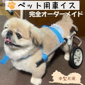 犬用車いす 2輪カート 中型犬用（7～14Kg）｜ペット用 車椅子 車イス 軽量 手作り オーダーメイド 2輪車 4輪車 ビーグル コーギー フレンチブルドッグ