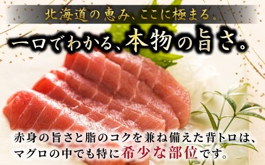 北海道産 天然 本マグロ 背トロ 冷凍 200g × 3柵 計600g（訳あり 筋あり）＜出荷時期：2026年8月頃～順次出荷＞ 国産 鮪 ホンマグロ クロマグロ ネギトロ マグロたたき にもできます マグロステーキ マグロ中トロ 冷凍 魚介類 海鮮 絶品 高級 配送月指定 配送月を選べる 配送時期 発送月が選べる 発送月 人気 ヒロセ 北海道 釧路町 釧路超 特産品　121-1262-192-022