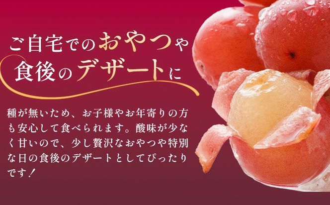 ぶどう クイーンニーナ 1房 2房 《8月下旬-9月下旬頃出荷予定》 葡萄 ブドウ 大粒 種なし フルーツ 果物 お取り寄せ 国産 茨城県 結城市 會澤ぶどう・キウイフルーツ園　【配送不可地域あり】(離島)---yuki_aizw_11_1p---