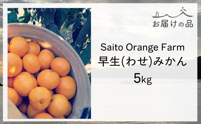 【先行予約】Saito Orange Farmの早生(わせ)みかん5kg（2026年11月下旬頃より順次発送予定） IKTAQ020
