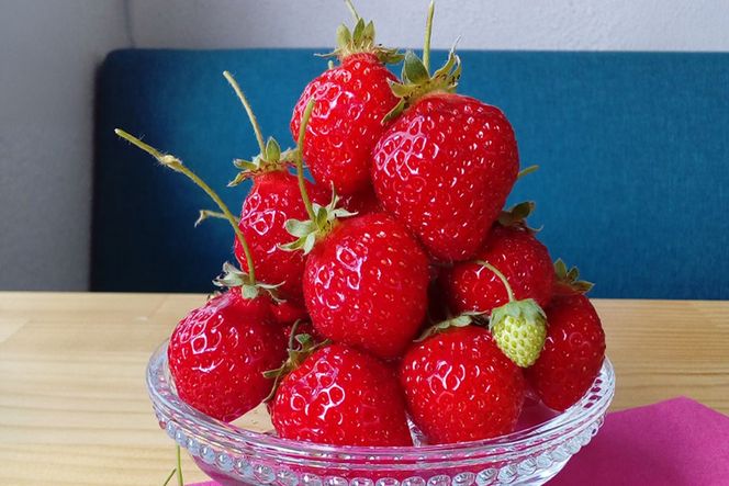 【2月15日～3月31日順次発送】福岡県産いちご「あまおう」270g×4パック【hurrah.】_HA1974