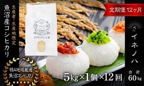 ＜定期便・全12回＞【令和7年産】魚沼産コシヒカリ「イネノハ 」精米(5kg×1)×12回 お米 白米 ご飯 産地直送 ミネラル 栄養分 こだわり 人気 新鮮 